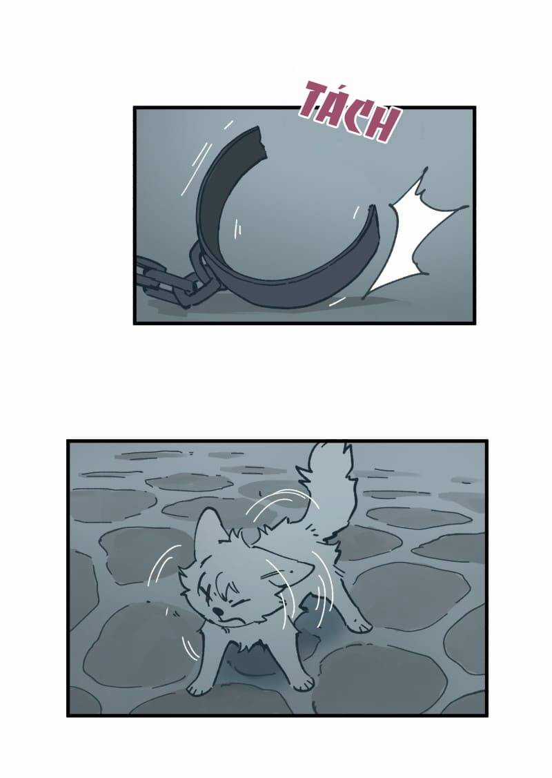 Cội Nguồn Ánh Sáng Chapter 150 trang 28