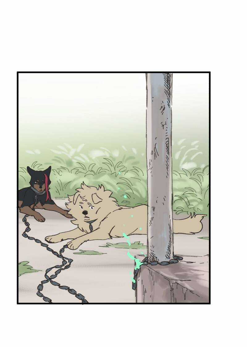 Cội Nguồn Ánh Sáng Chapter 151 trang 12