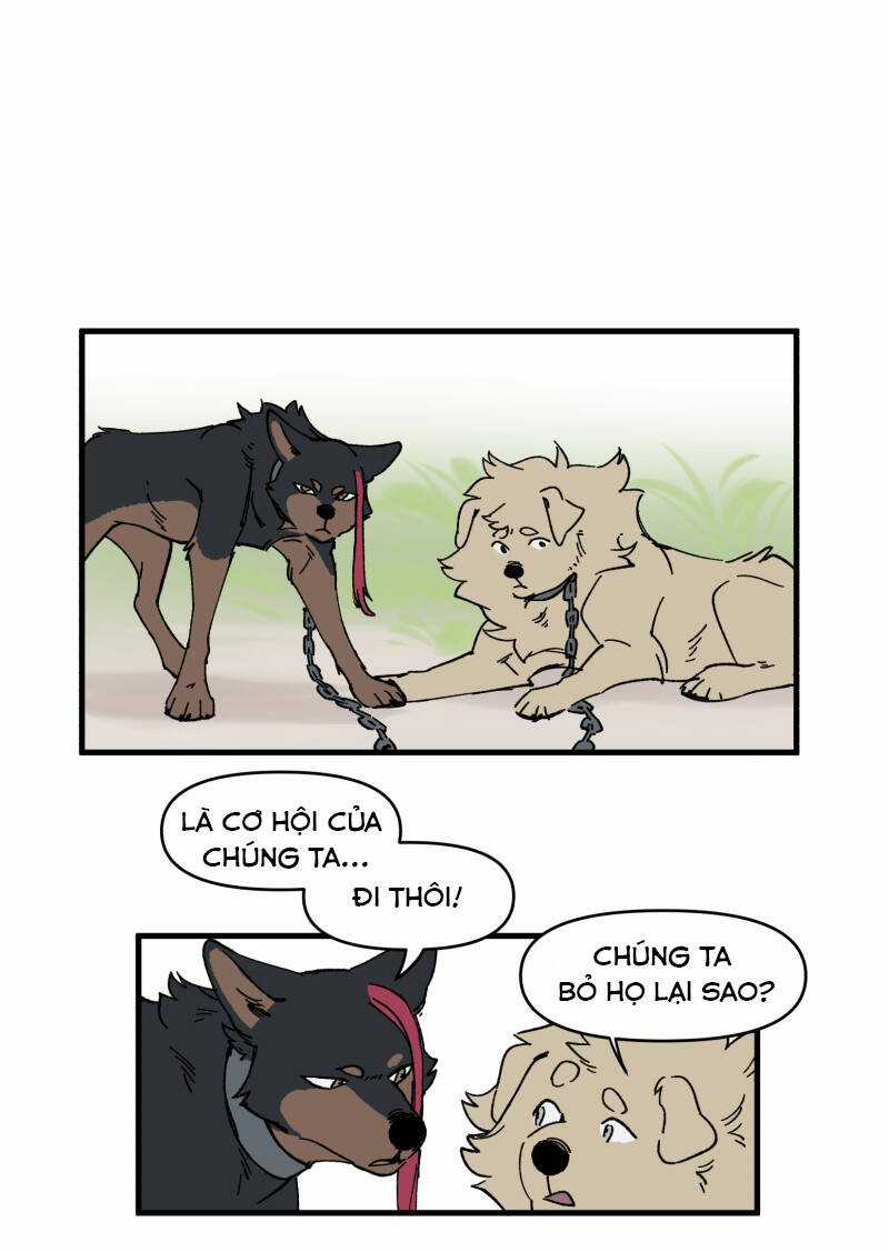 Cội Nguồn Ánh Sáng Chapter 151 trang 16