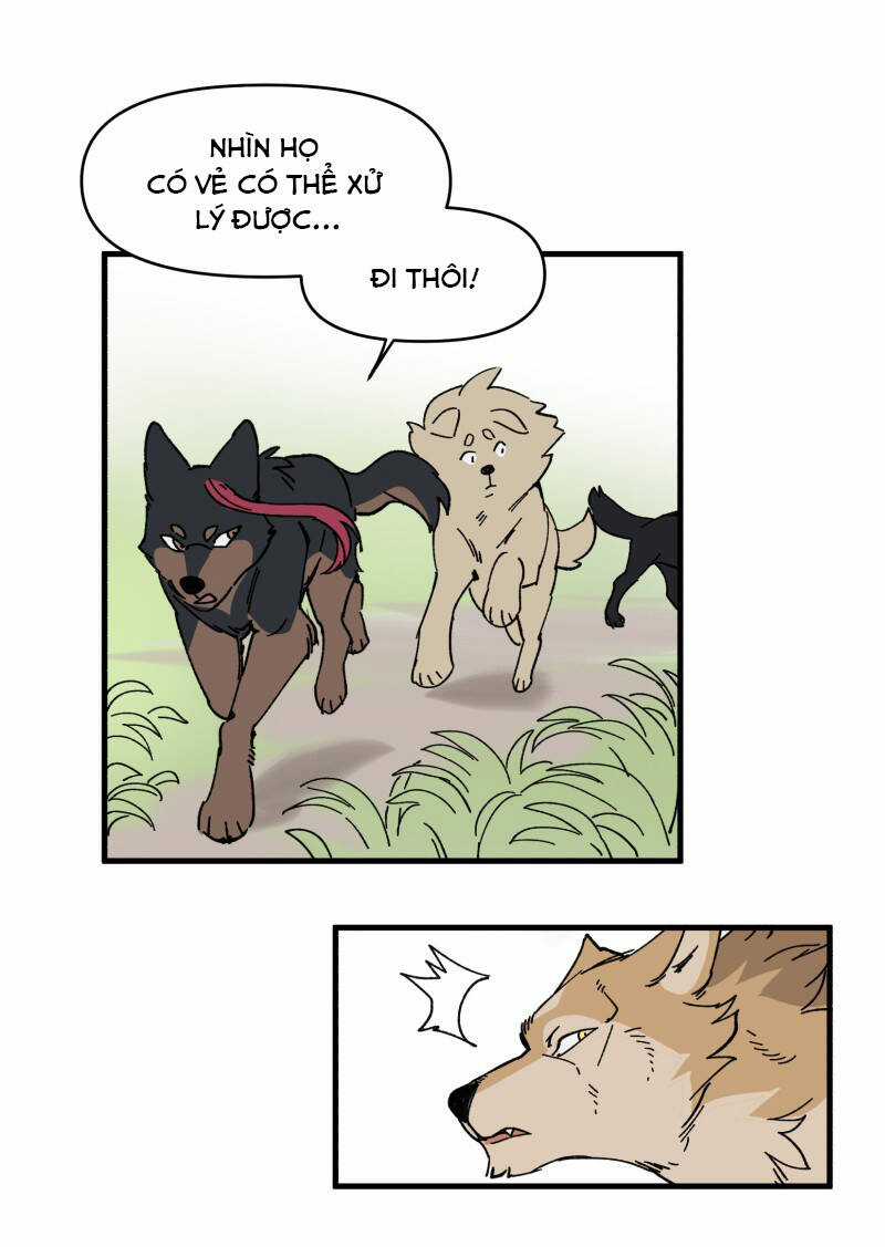 Cội Nguồn Ánh Sáng Chapter 151 trang 17