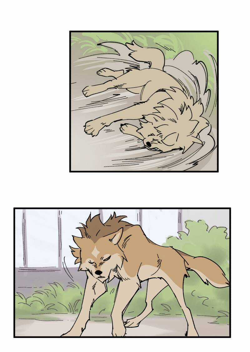 Cội Nguồn Ánh Sáng Chapter 151 trang 6