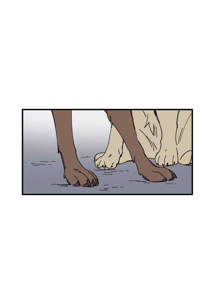 Cội Nguồn Ánh Sáng Chapter 152 trang 18