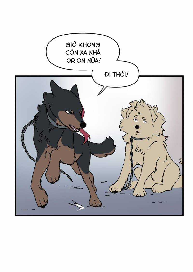 Cội Nguồn Ánh Sáng Chapter 152 trang 20