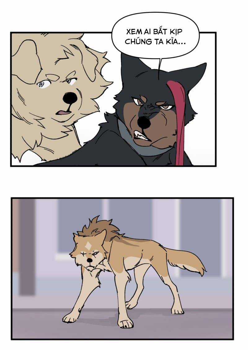 Cội Nguồn Ánh Sáng Chapter 152 trang 22