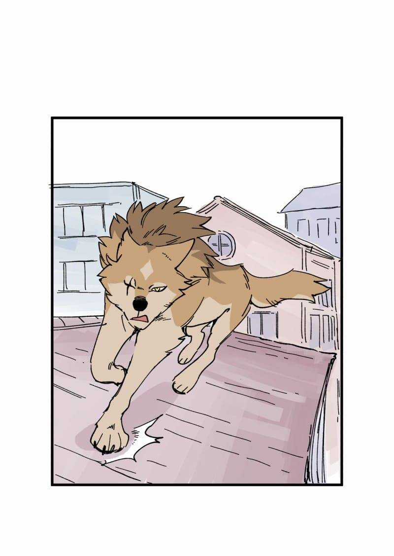 Cội Nguồn Ánh Sáng Chapter 152 trang 31