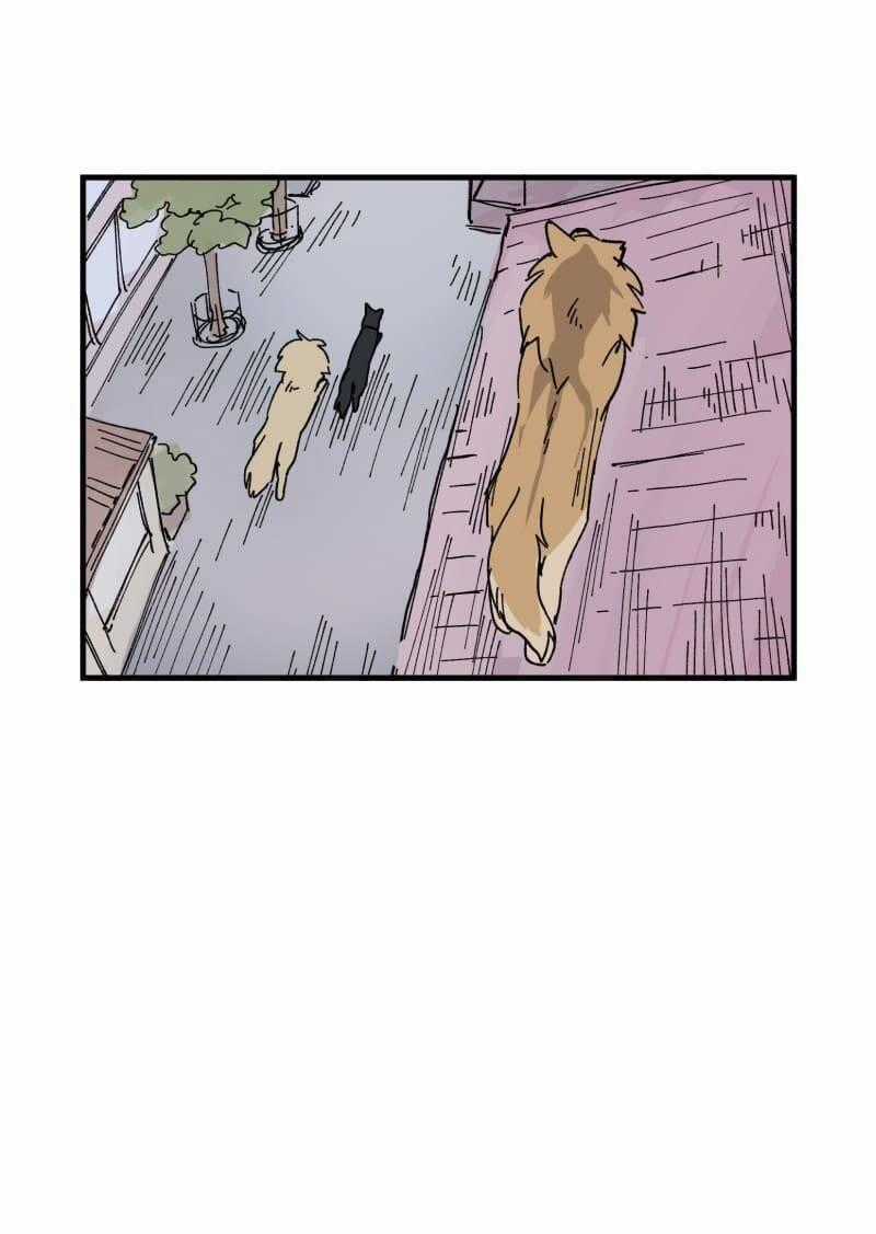 Cội Nguồn Ánh Sáng Chapter 152 trang 32