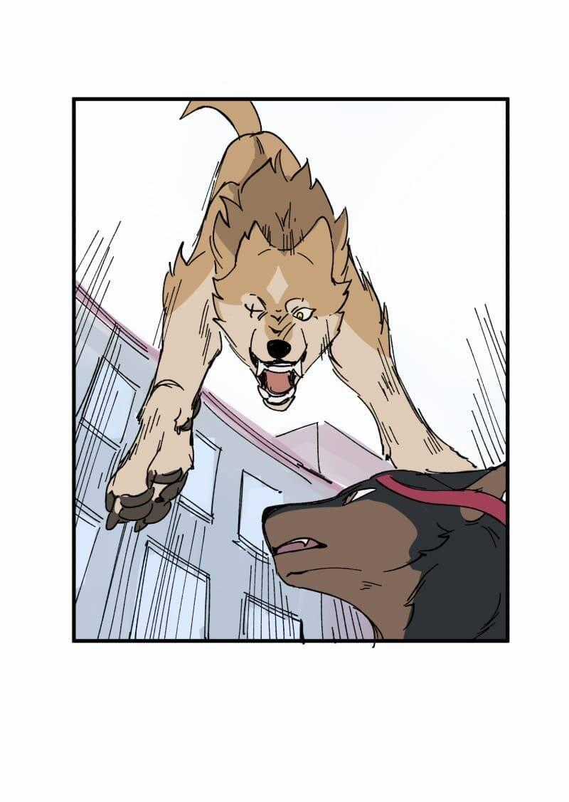 Cội Nguồn Ánh Sáng Chapter 152 trang 33