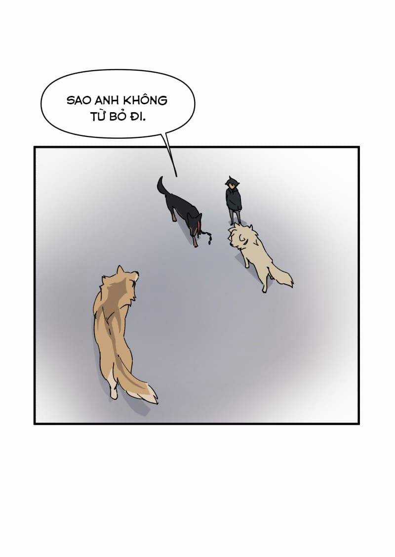 Cội Nguồn Ánh Sáng Chapter 153 trang 14