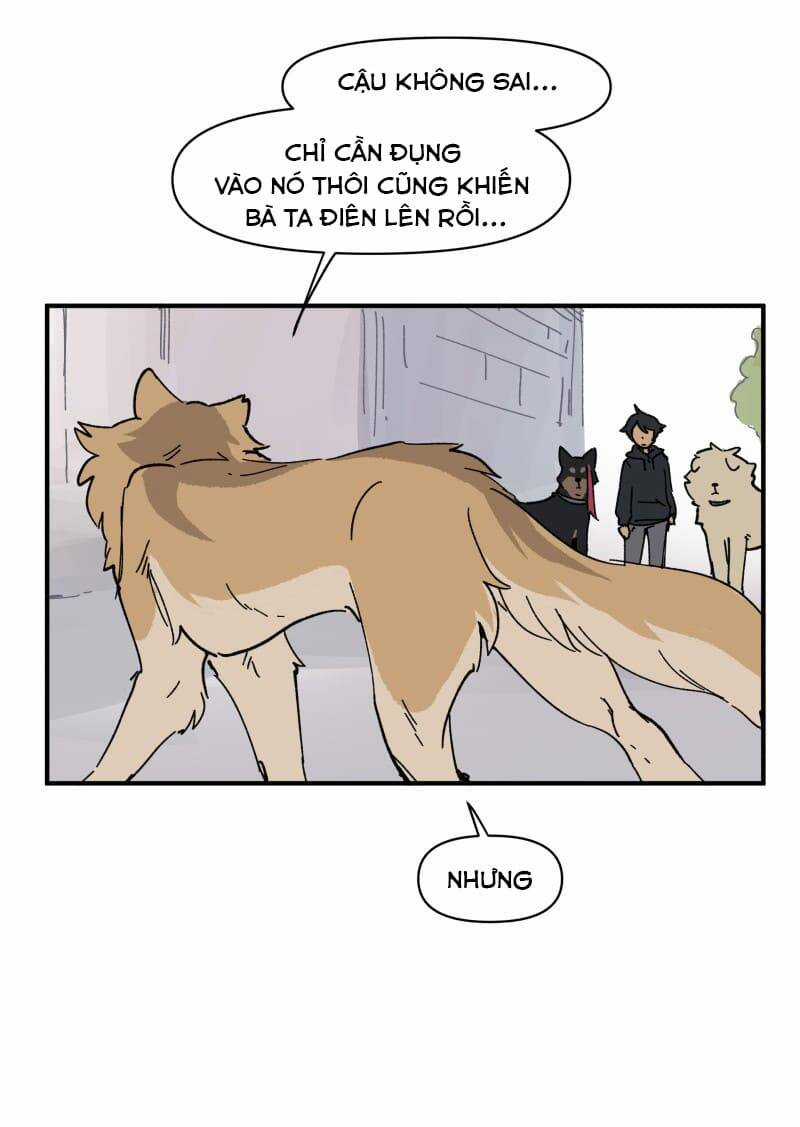 Cội Nguồn Ánh Sáng Chapter 153 trang 16