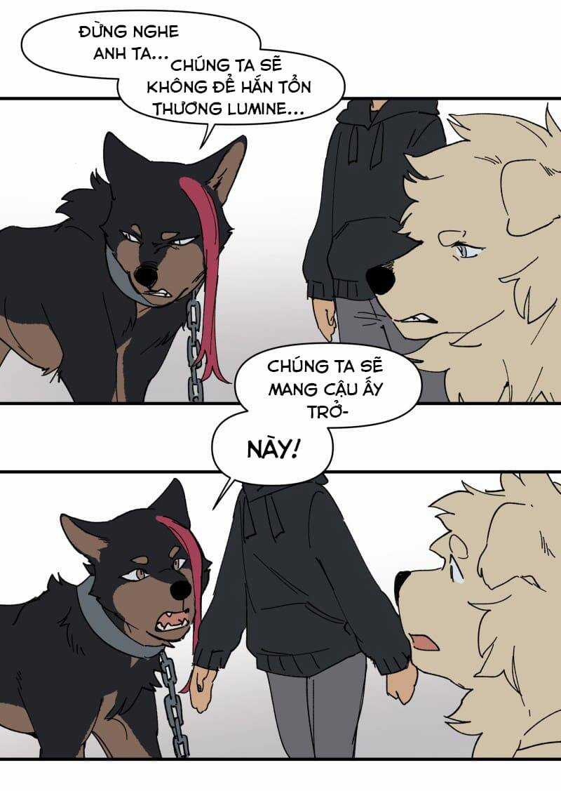 Cội Nguồn Ánh Sáng Chapter 153 trang 19