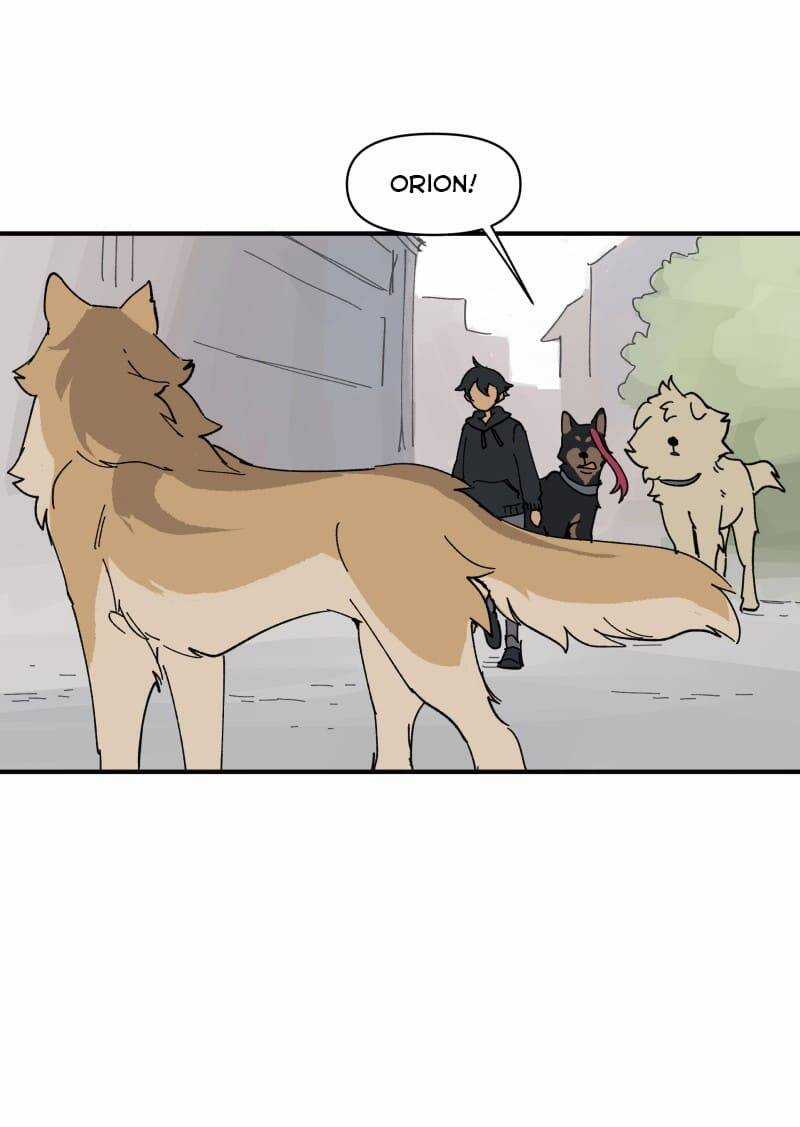 Cội Nguồn Ánh Sáng Chapter 153 trang 20