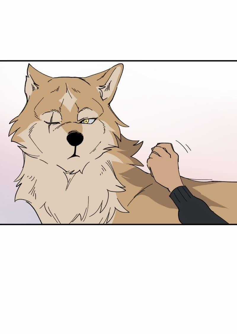 Cội Nguồn Ánh Sáng Chapter 153 trang 31