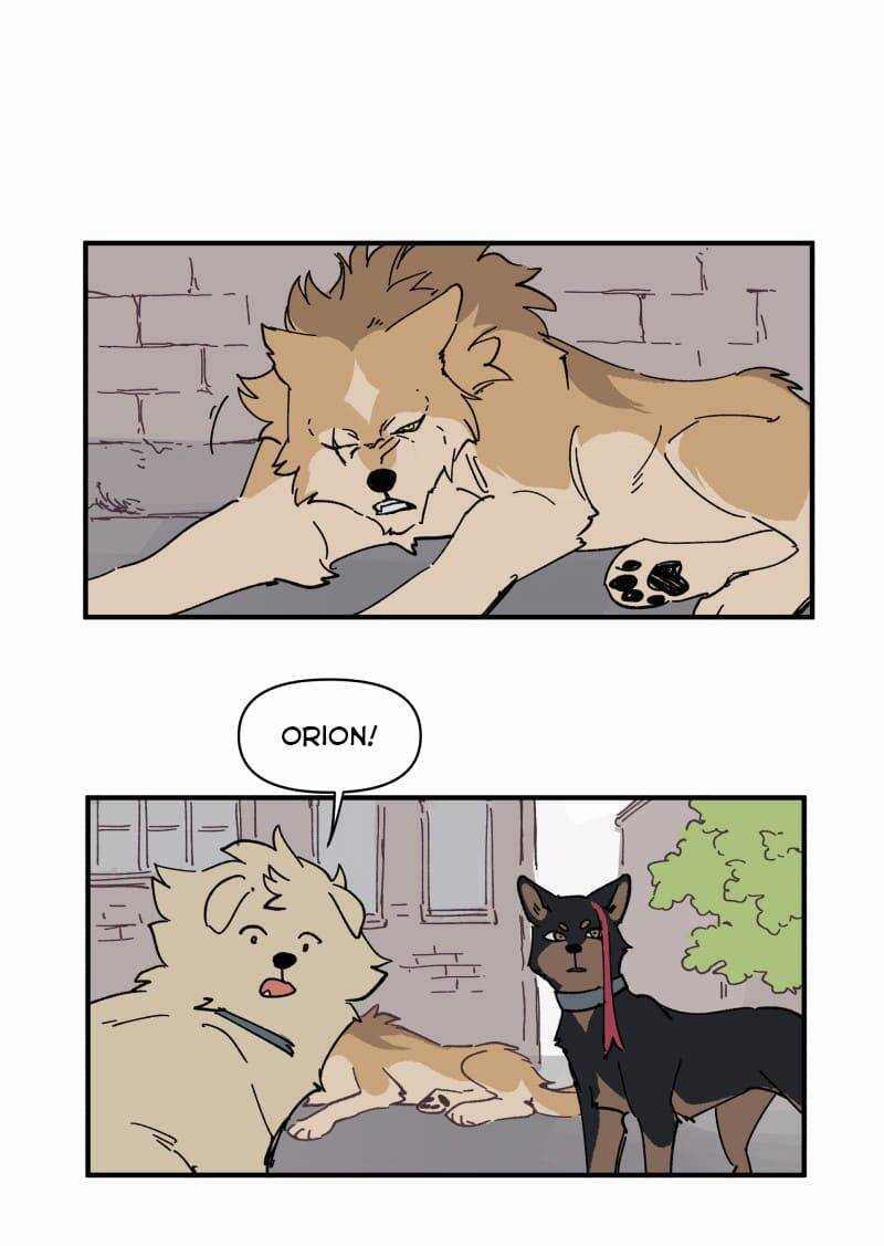 Cội Nguồn Ánh Sáng Chapter 153 trang 6