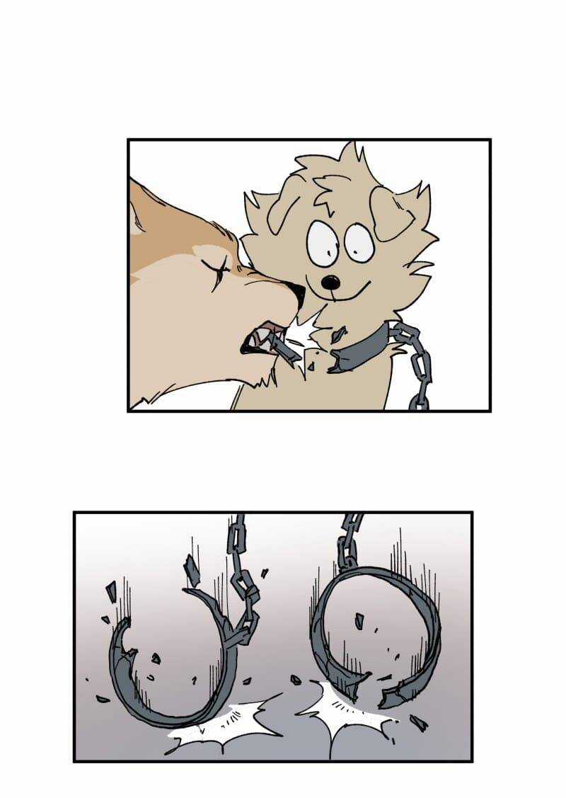 Cội Nguồn Ánh Sáng Chapter 154 trang 22