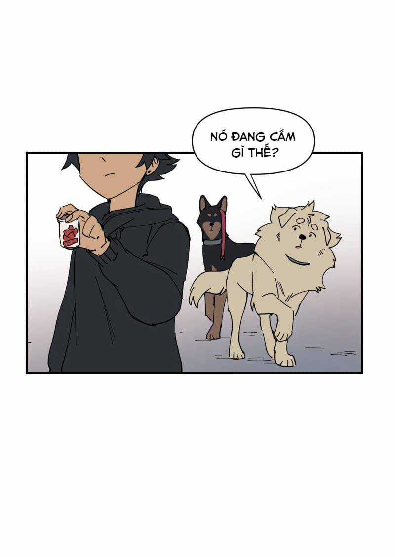 Cội Nguồn Ánh Sáng Chapter 154 trang 3