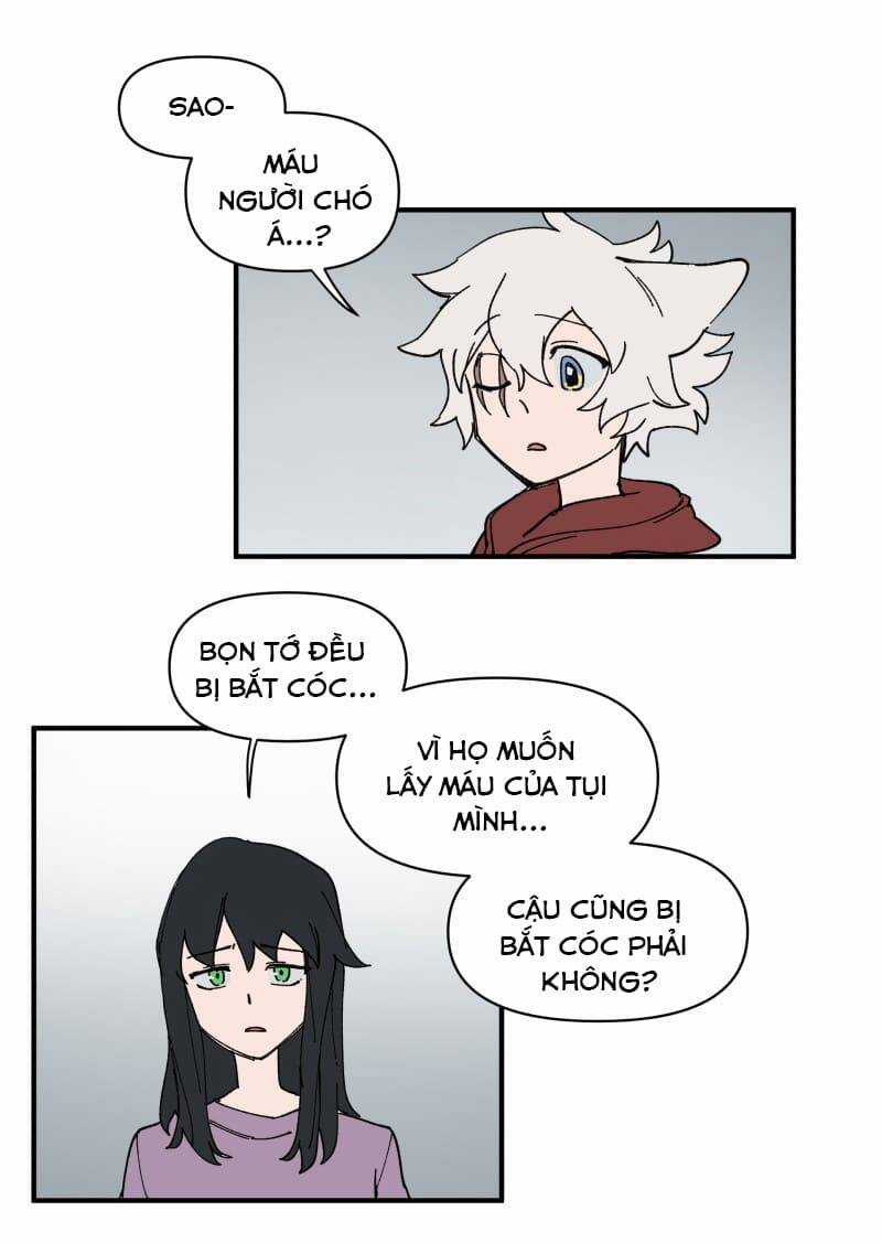 Cội Nguồn Ánh Sáng Chapter 155 trang 13