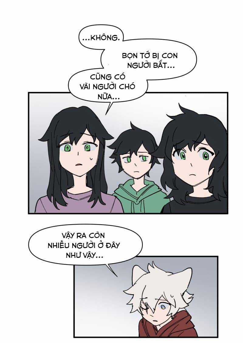 Cội Nguồn Ánh Sáng Chapter 155 trang 15