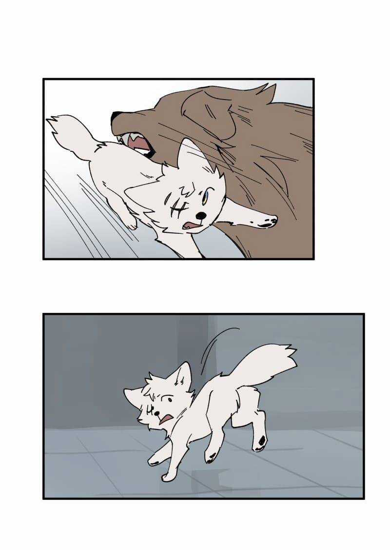 Cội Nguồn Ánh Sáng Chapter 156 trang 20