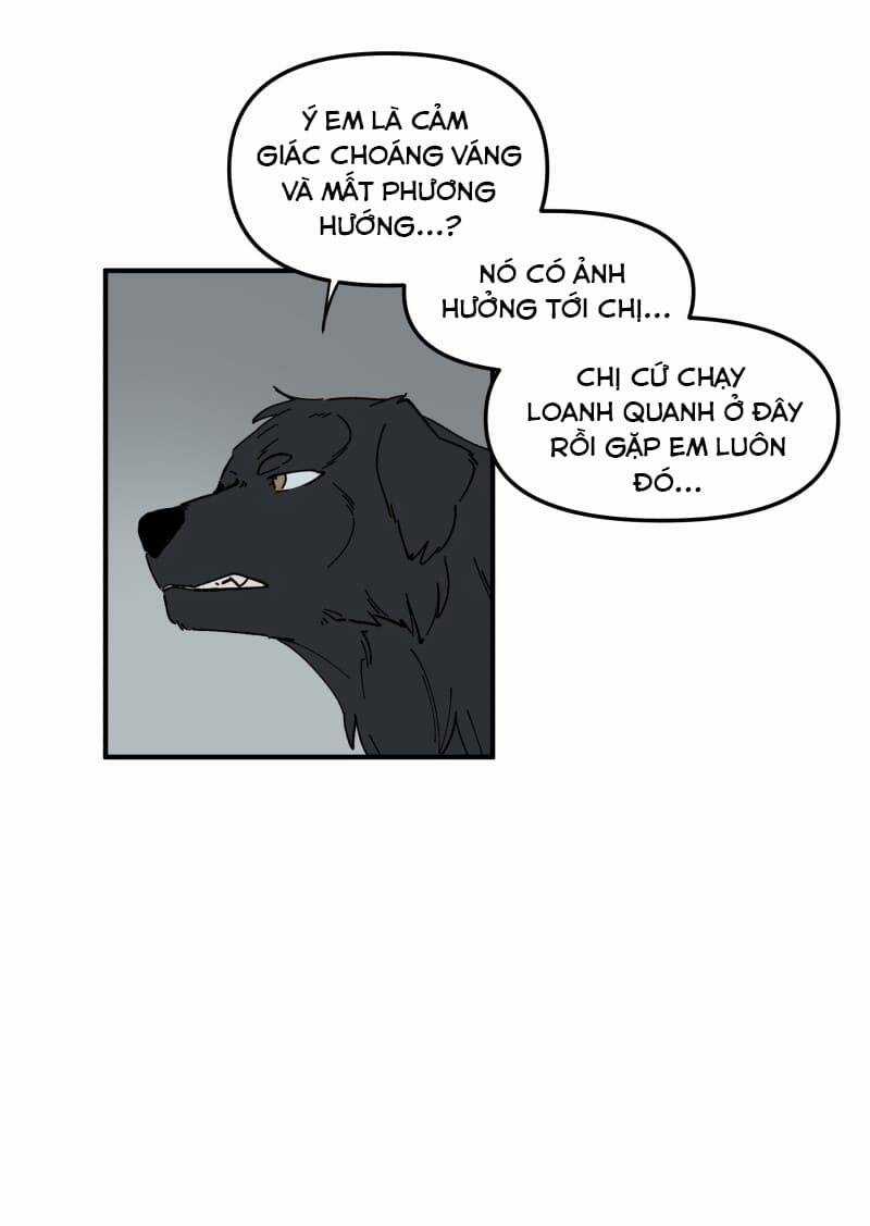 Cội Nguồn Ánh Sáng Chapter 160 trang 11