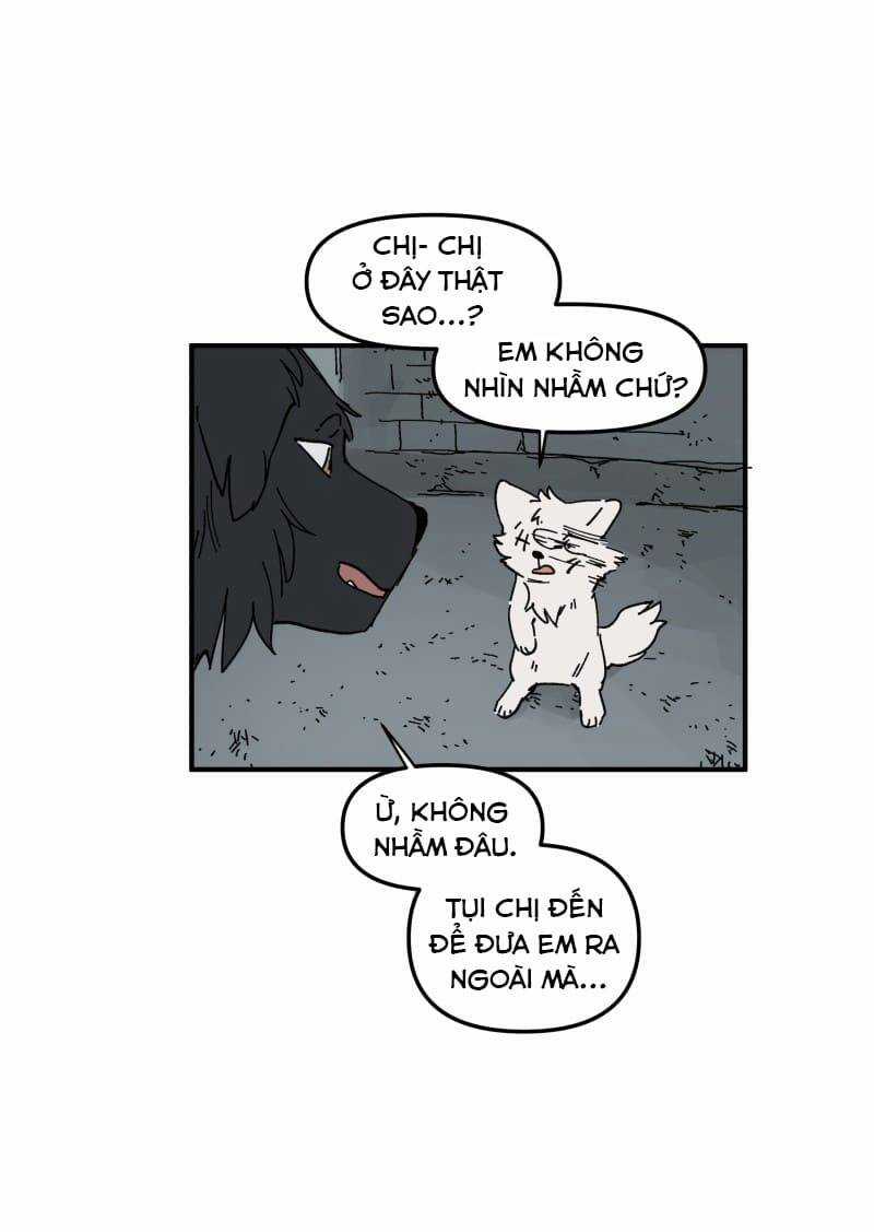 Cội Nguồn Ánh Sáng Chapter 160 trang 8