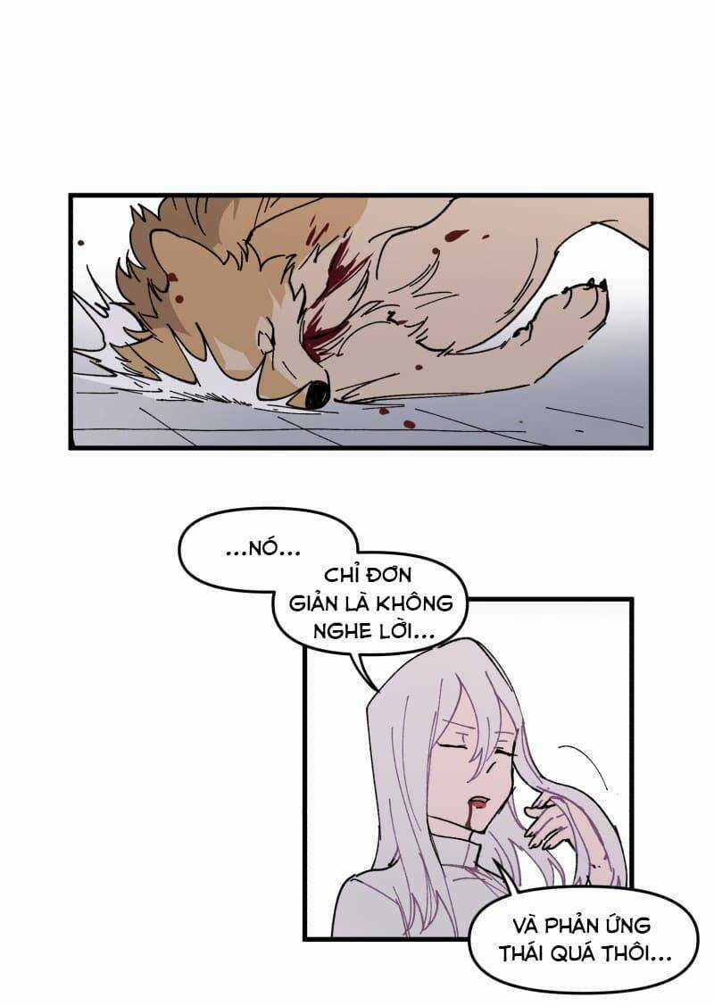 Cội Nguồn Ánh Sáng Chapter 166 trang 13