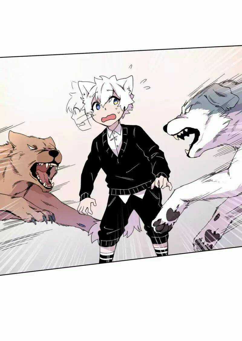 Cội Nguồn Ánh Sáng Chapter 19 trang 23