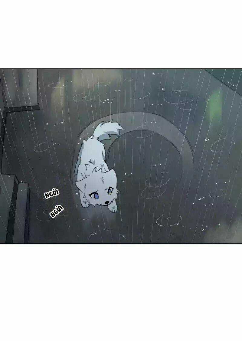 Cội Nguồn Ánh Sáng Chapter 23 trang 18