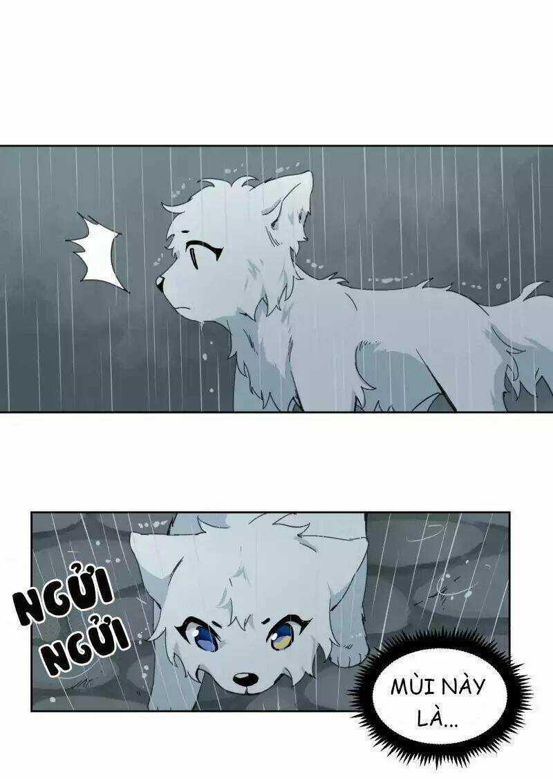 Cội Nguồn Ánh Sáng Chapter 23 trang 36