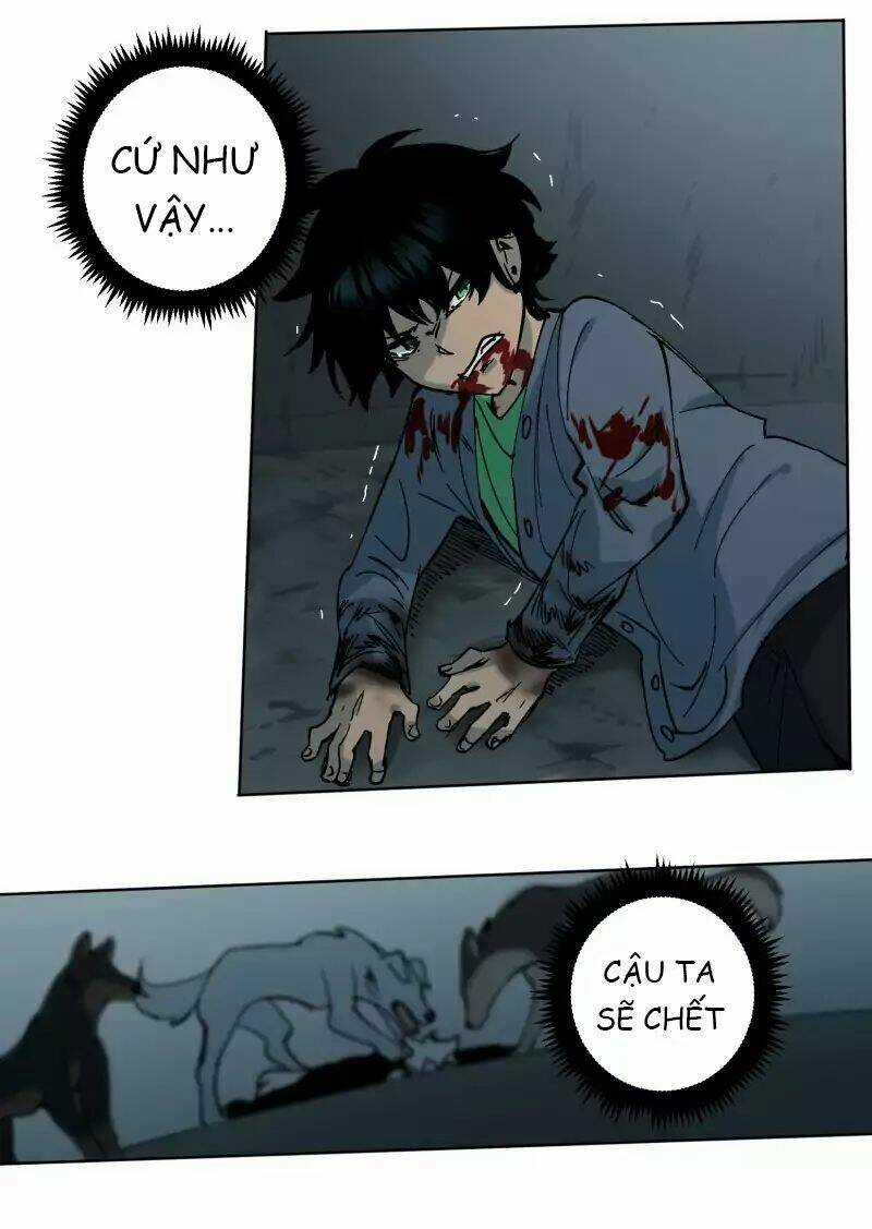 Cội Nguồn Ánh Sáng Chapter 26 trang 12