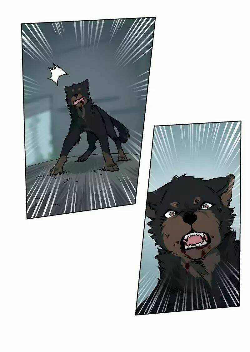 Cội Nguồn Ánh Sáng Chapter 26 trang 37