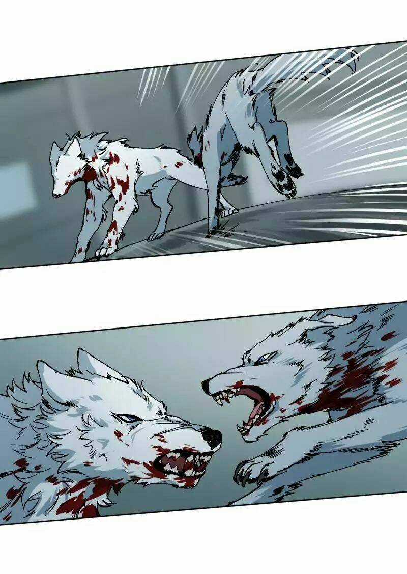 Cội Nguồn Ánh Sáng Chapter 26 trang 41