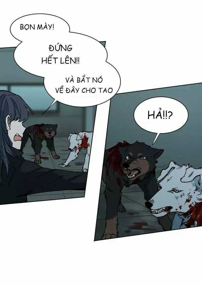 Cội Nguồn Ánh Sáng Chapter 27 trang 12