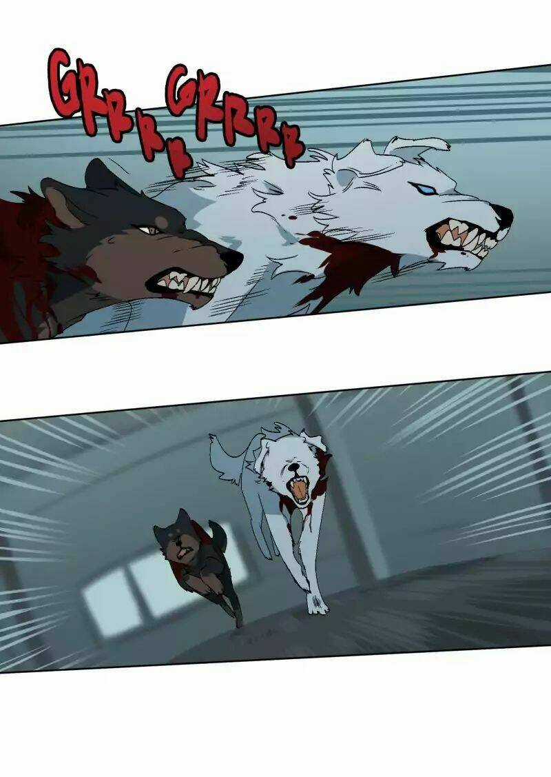 Cội Nguồn Ánh Sáng Chapter 28 trang 14