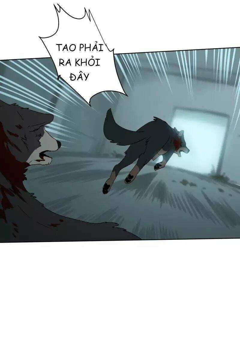 Cội Nguồn Ánh Sáng Chapter 29 trang 8