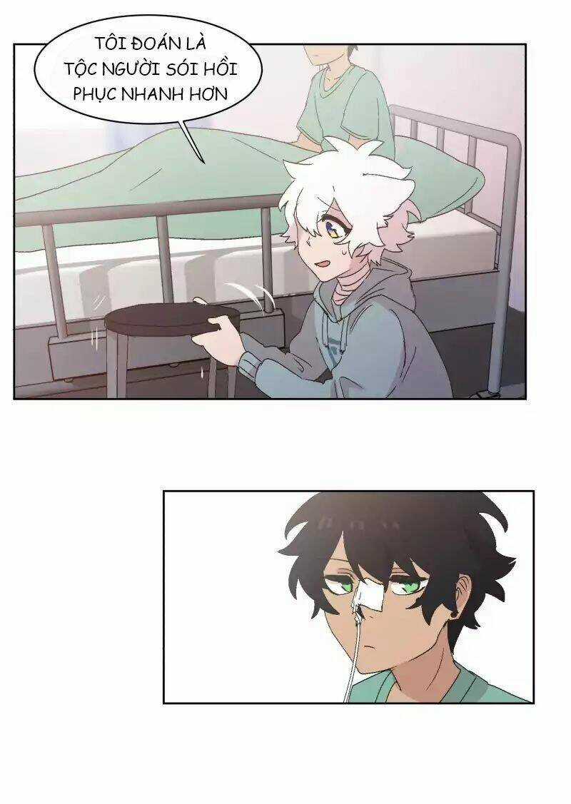 Cội Nguồn Ánh Sáng Chapter 31 trang 21