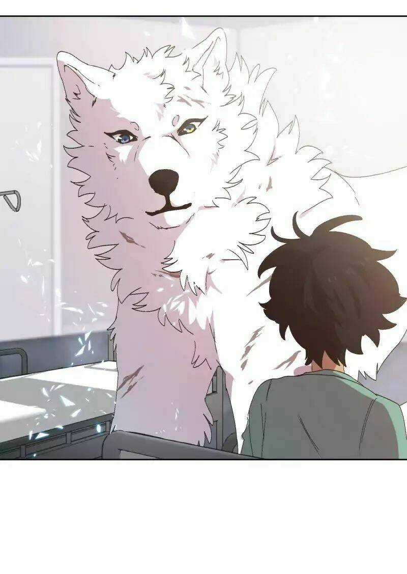 Cội Nguồn Ánh Sáng Chapter 31 trang 27