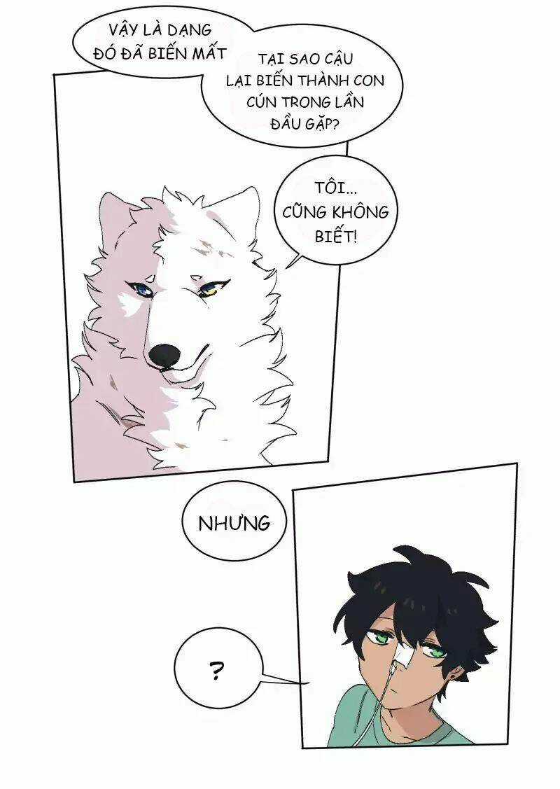 Cội Nguồn Ánh Sáng Chapter 31 trang 29