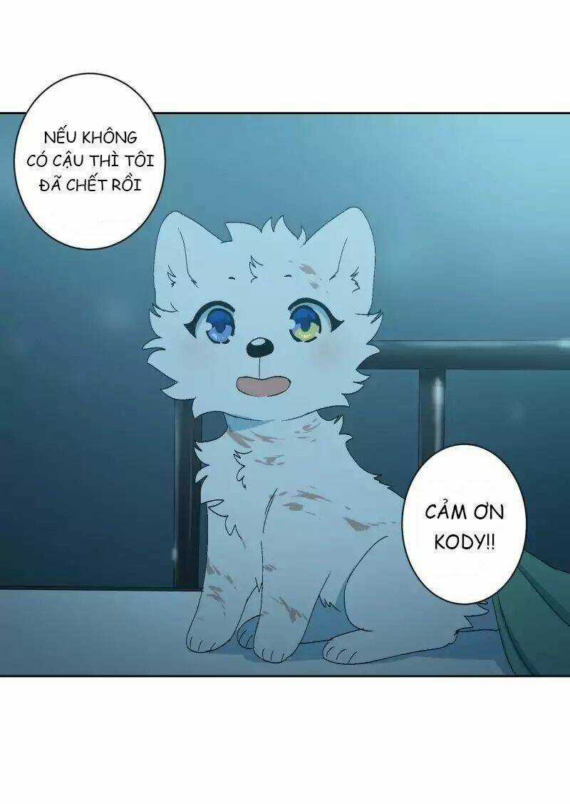 Cội Nguồn Ánh Sáng Chapter 33 trang 14