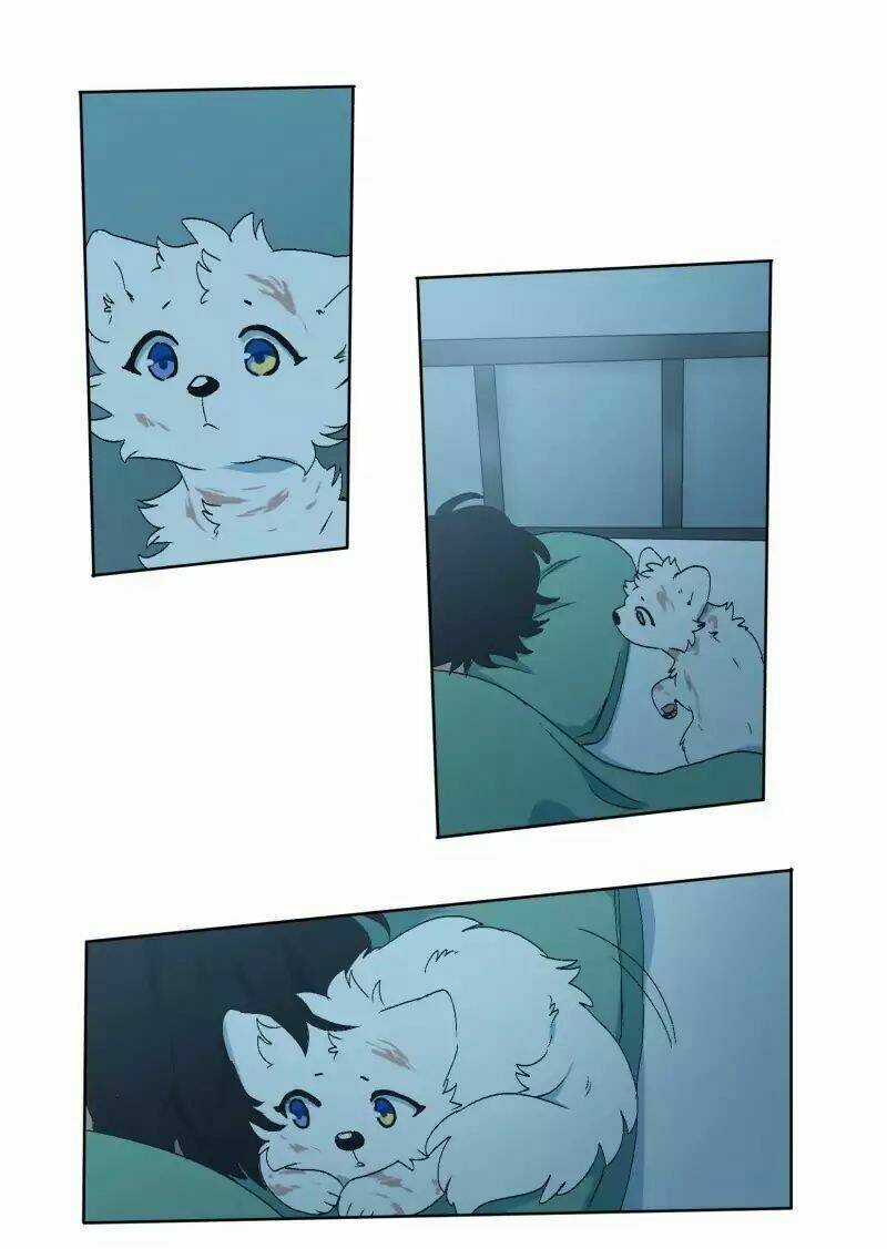 Cội Nguồn Ánh Sáng Chapter 33 trang 16