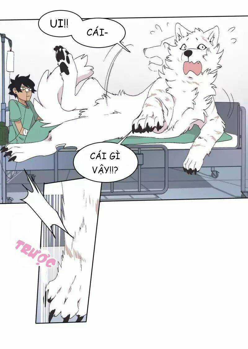 Cội Nguồn Ánh Sáng Chapter 33 trang 28