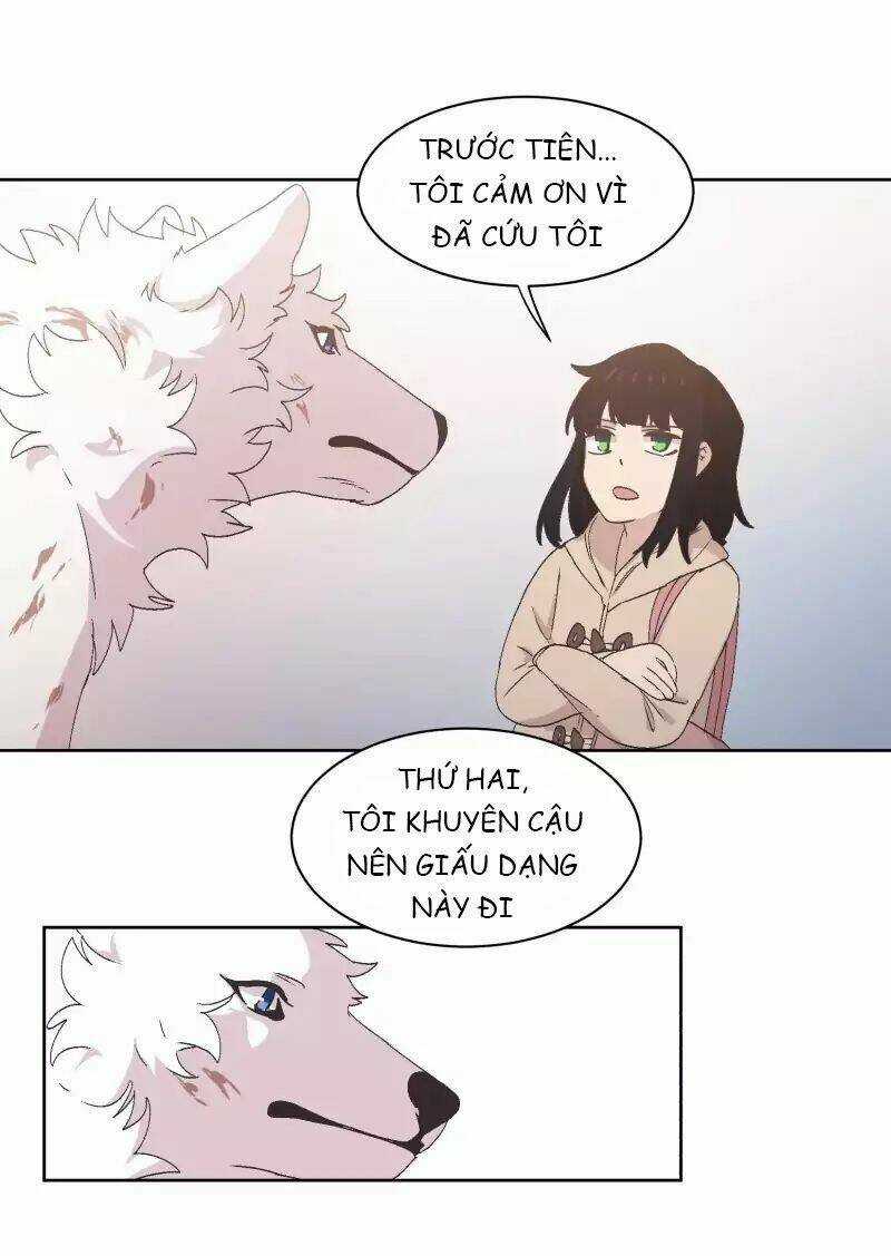 Cội Nguồn Ánh Sáng Chapter 34 trang 13