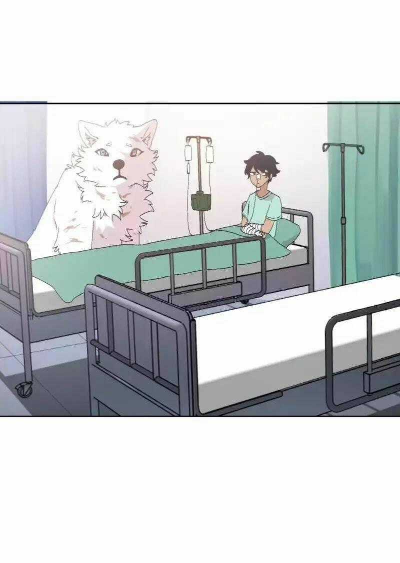 Cội Nguồn Ánh Sáng Chapter 34 trang 19