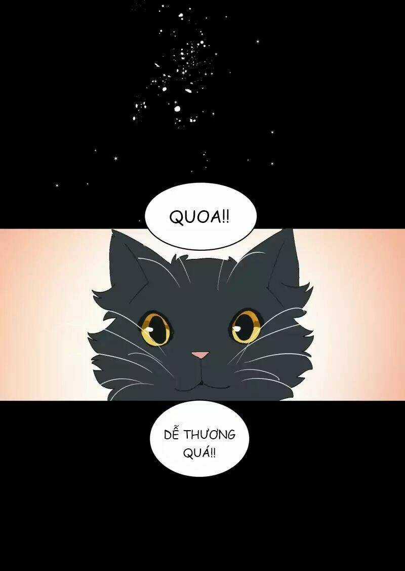 Cội Nguồn Ánh Sáng Chapter 35 trang 11