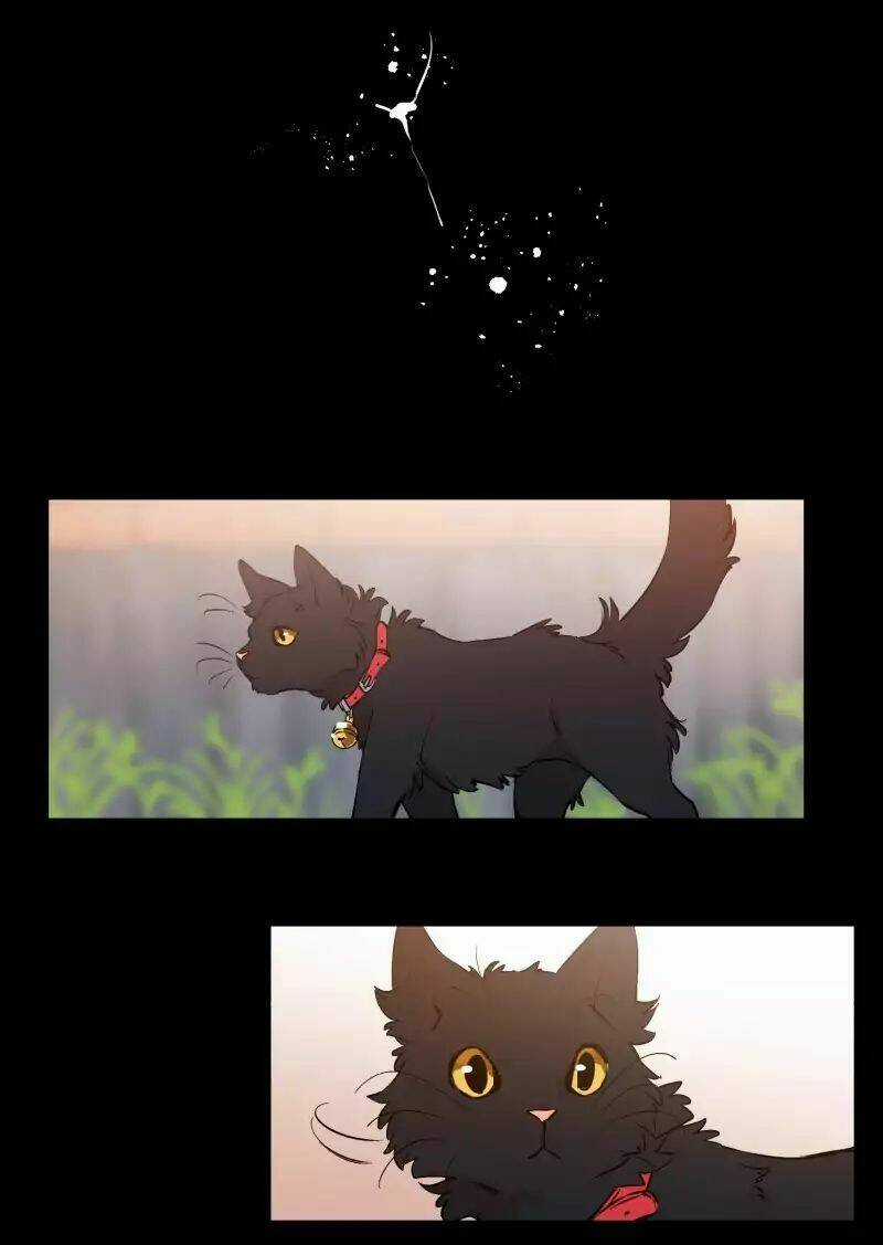 Cội Nguồn Ánh Sáng Chapter 37 trang 24