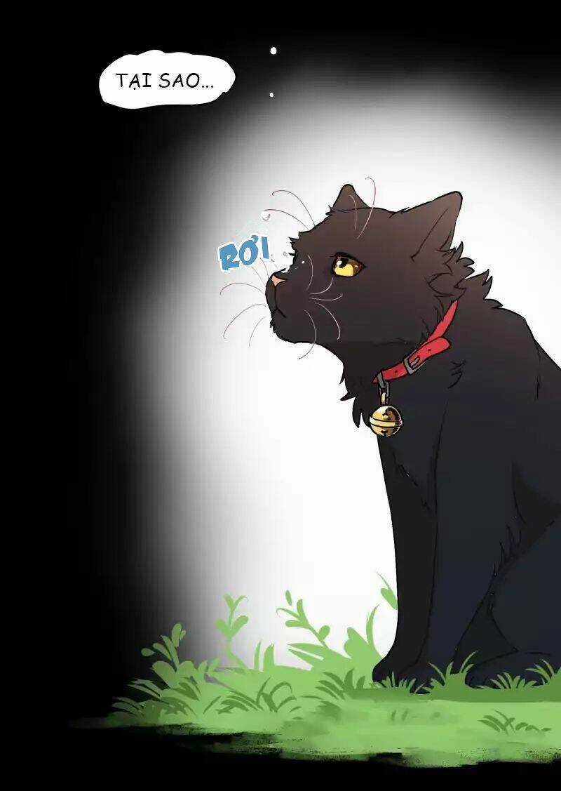 Cội Nguồn Ánh Sáng Chapter 37 trang 29