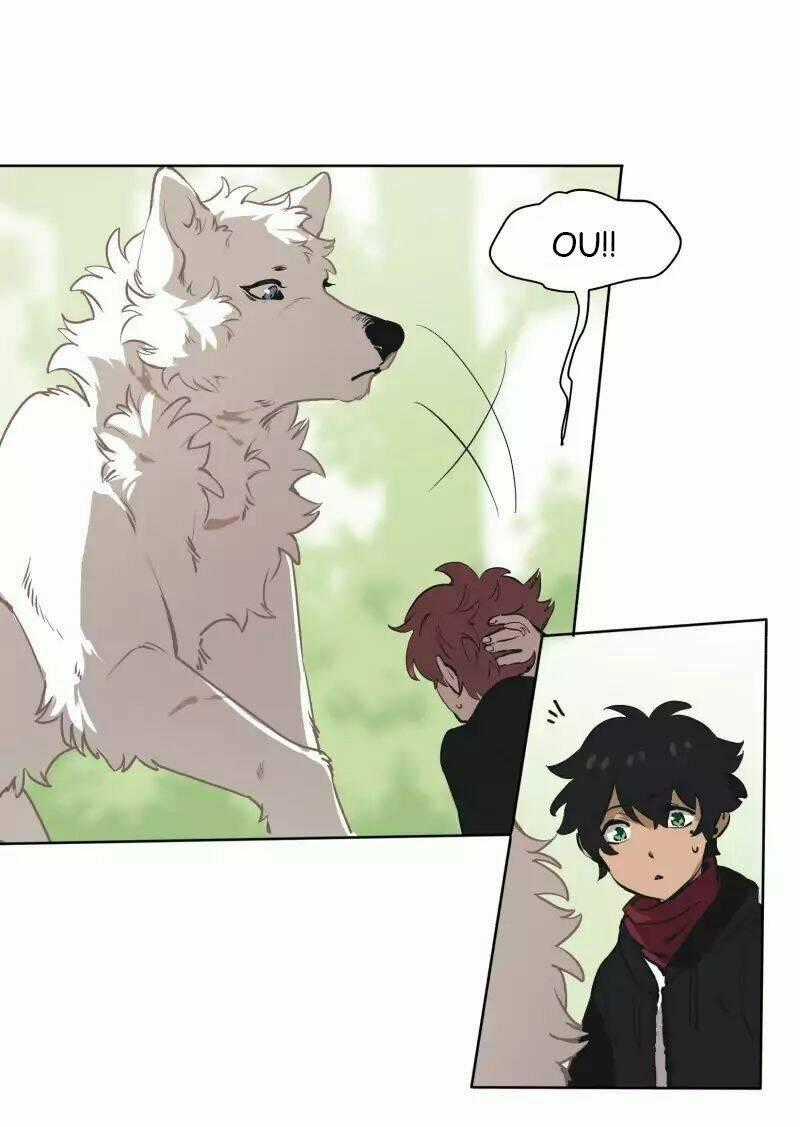 Cội Nguồn Ánh Sáng Chapter 40 trang 24