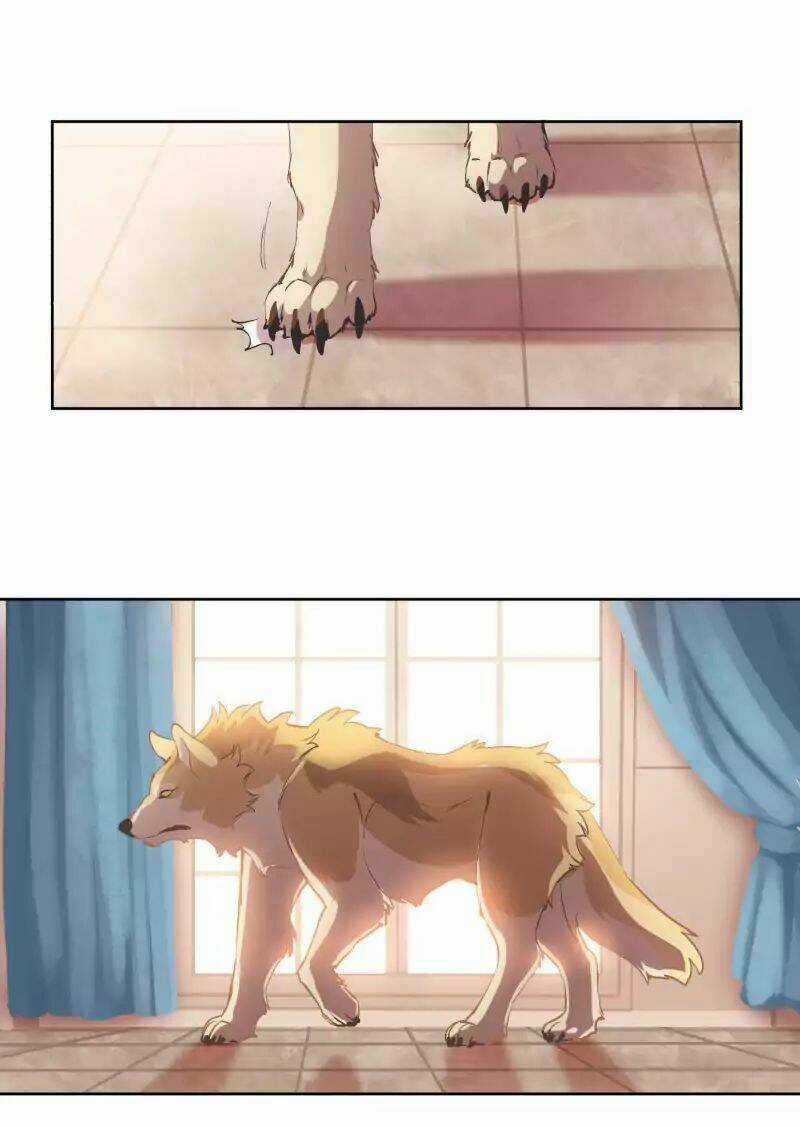 Cội Nguồn Ánh Sáng Chapter 41 trang 27