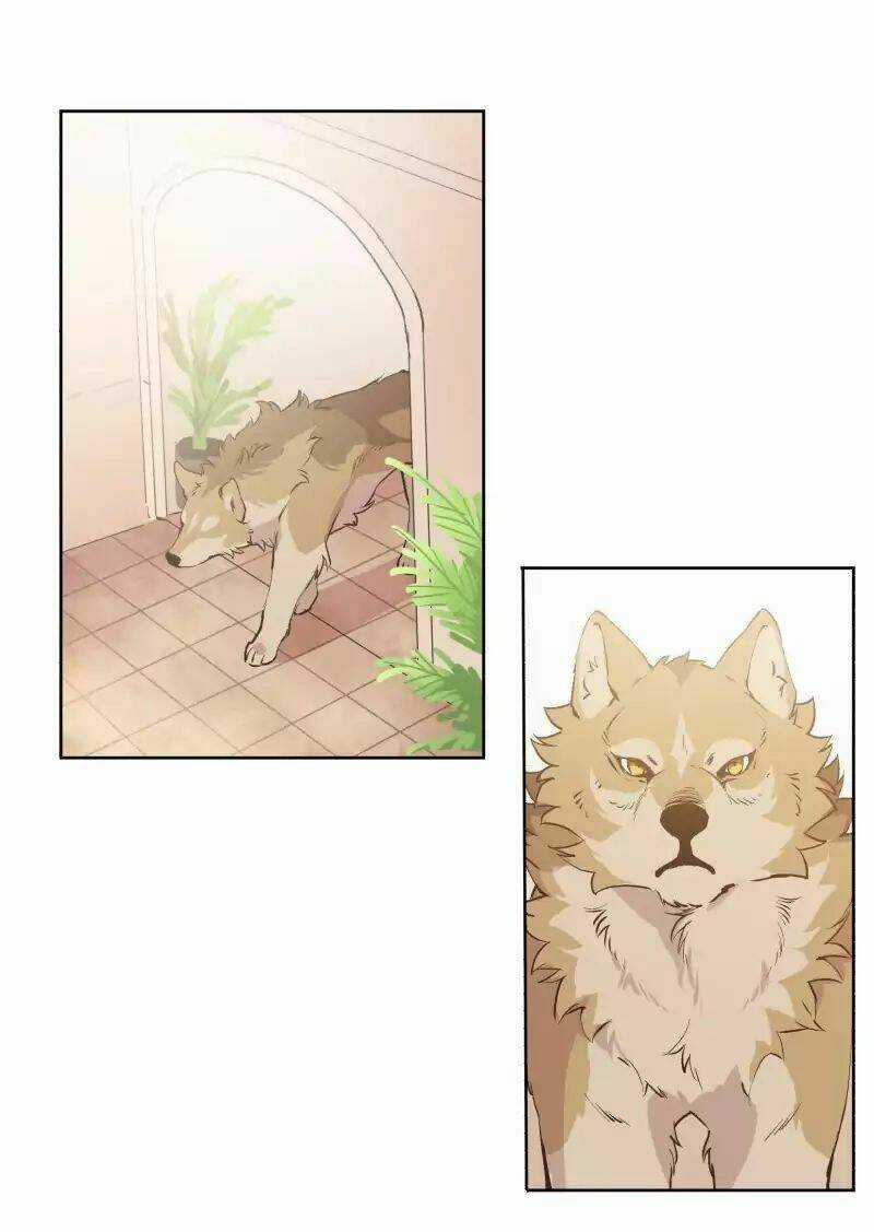 Cội Nguồn Ánh Sáng Chapter 41 trang 29