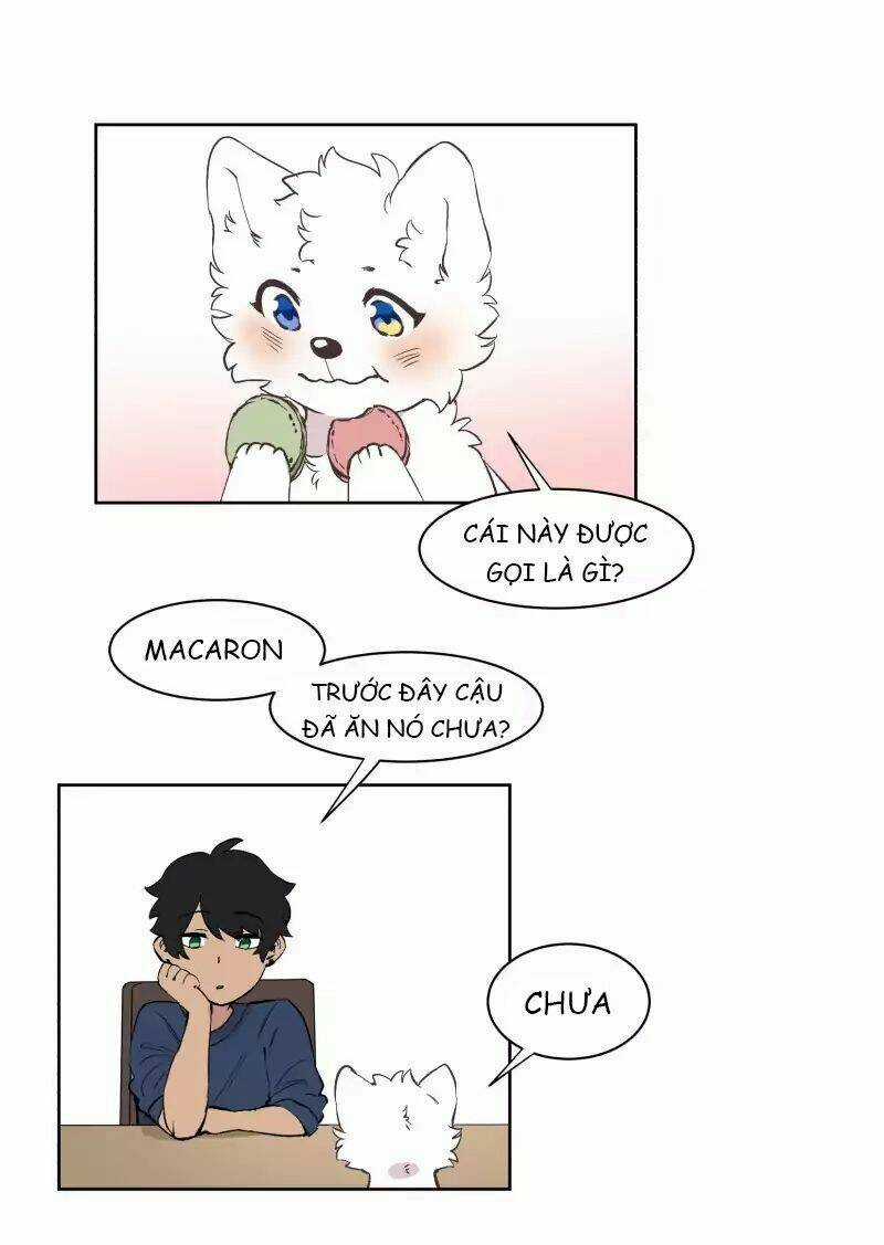 Cội Nguồn Ánh Sáng Chapter 42 trang 12