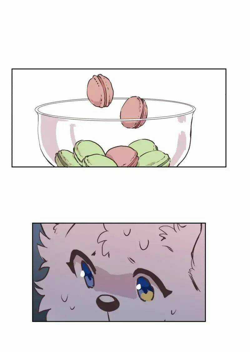 Cội Nguồn Ánh Sáng Chapter 42 trang 3